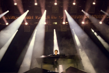the wombats